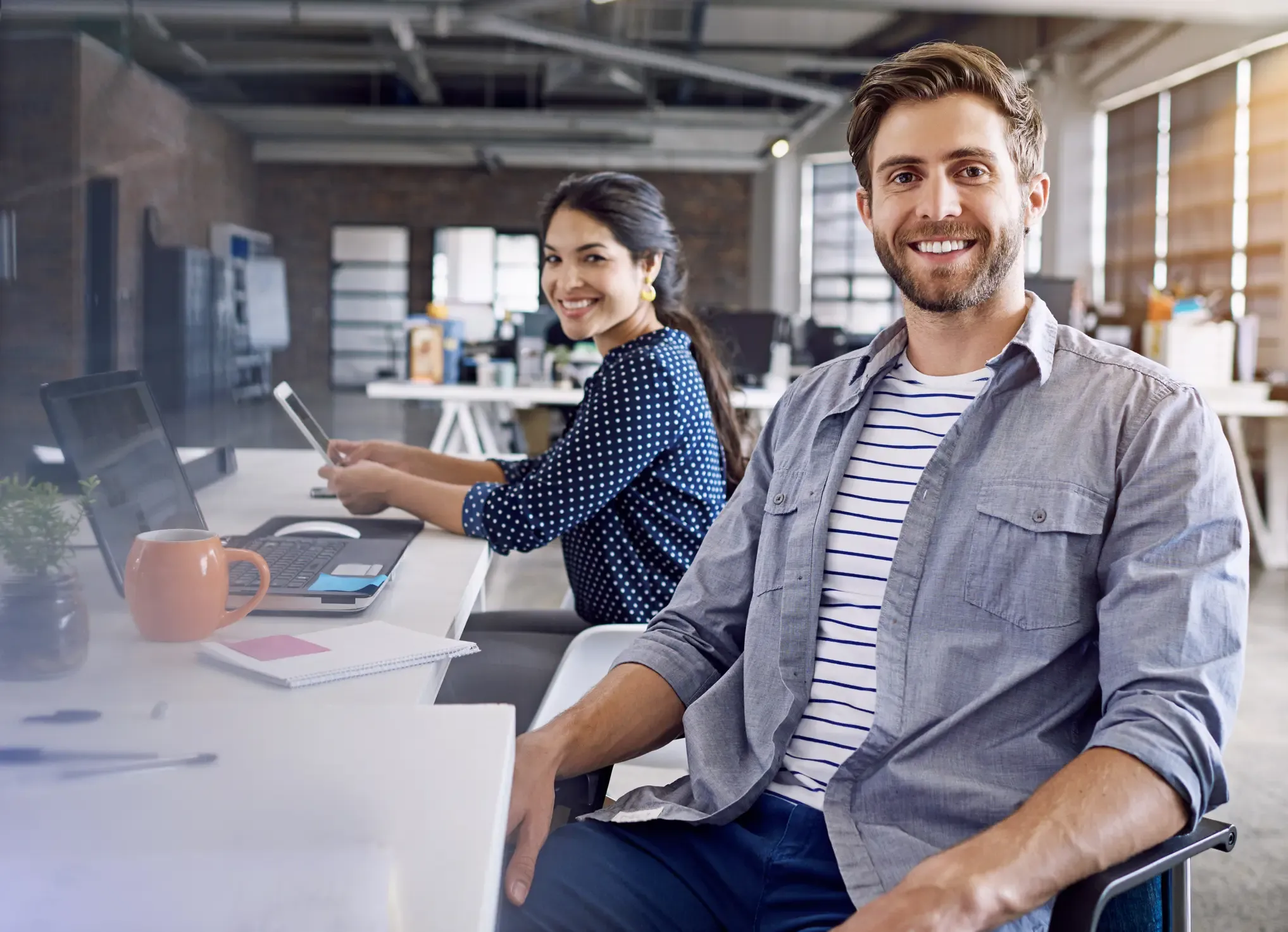 Web Development Edmonton