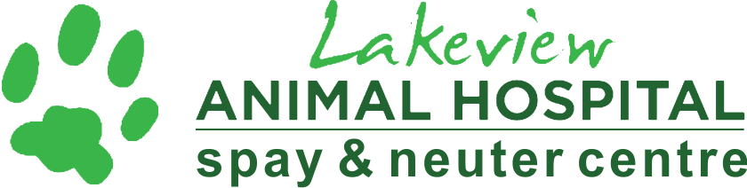 Lakeview Animal Hospital